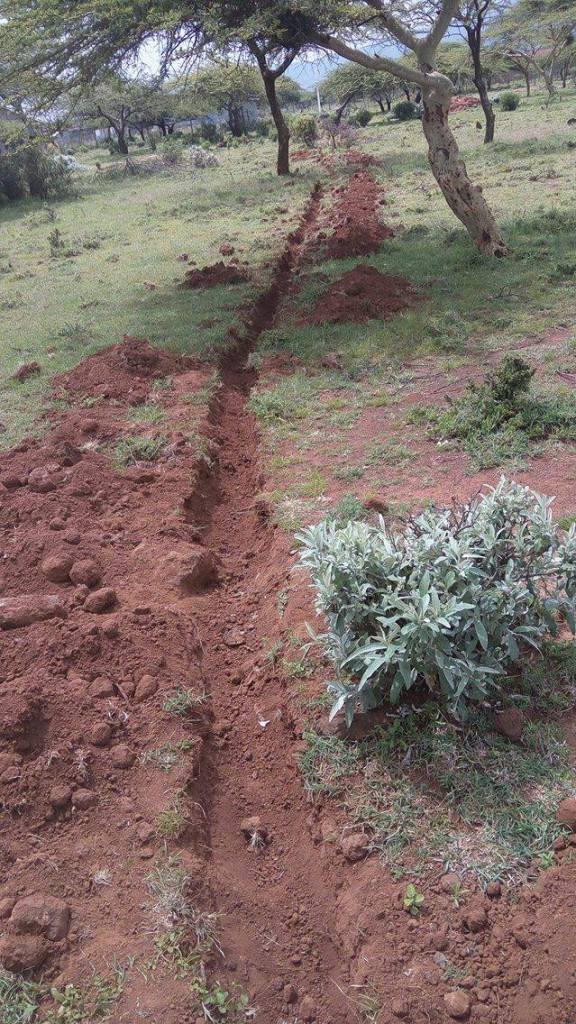 13445889_10207830307813253_1988161956_o